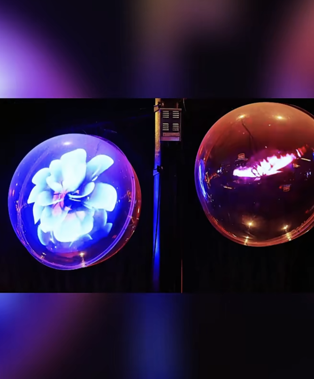 DEA219AE-530F-4b5a-AA00-7E7E7B8939B5 DEA219AE-530F-4b5a-AA00-7E7E7B8939B5